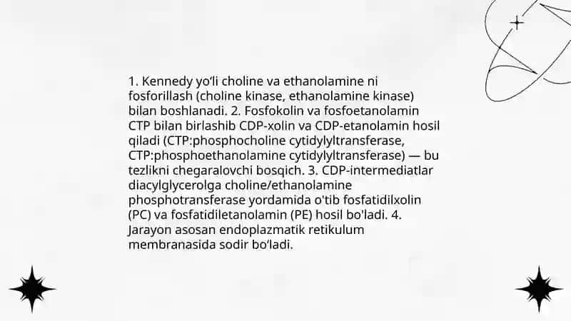 Lipid sintezi va transporti 4