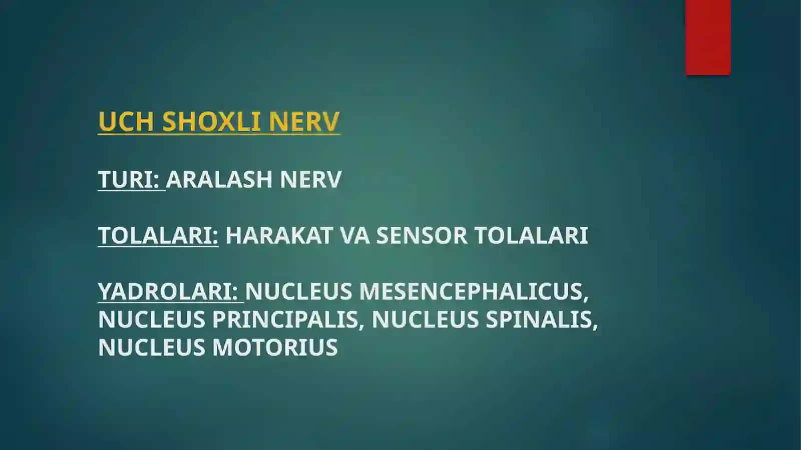 UCH SHOXLI NERV ANATOMIYASI 4