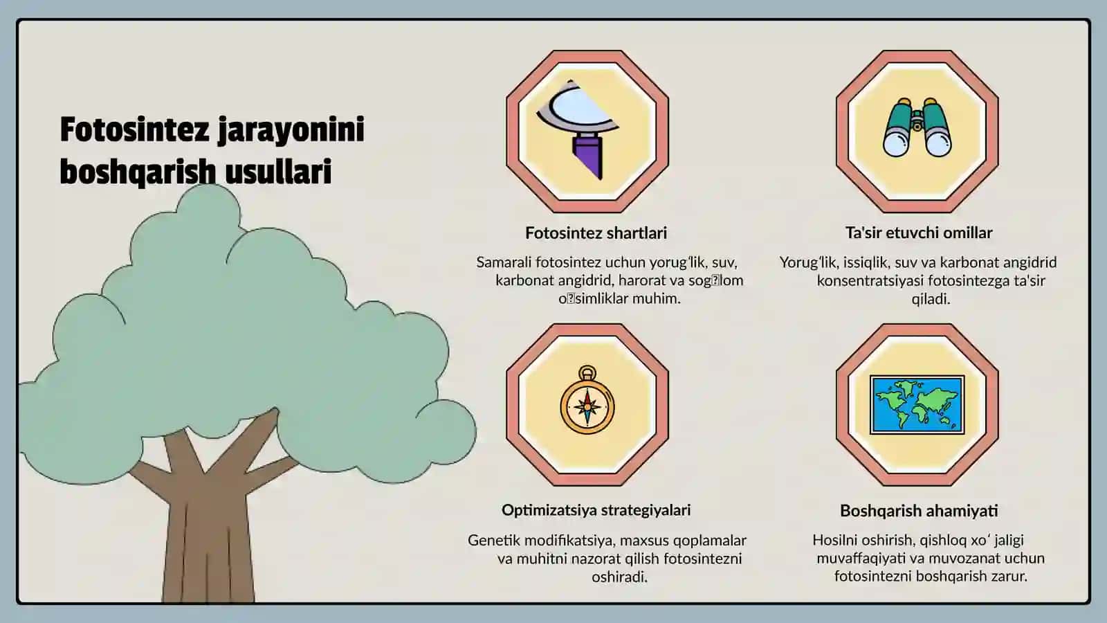 Biotexnologiyada Fotosintez Jarayonini Boshqarish Imkoniyatlari 4