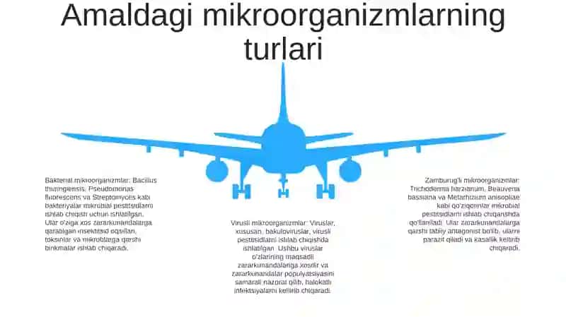 Mikroorganizmlar Asosida Pestitsidlar Ishlab Chiqarish 4