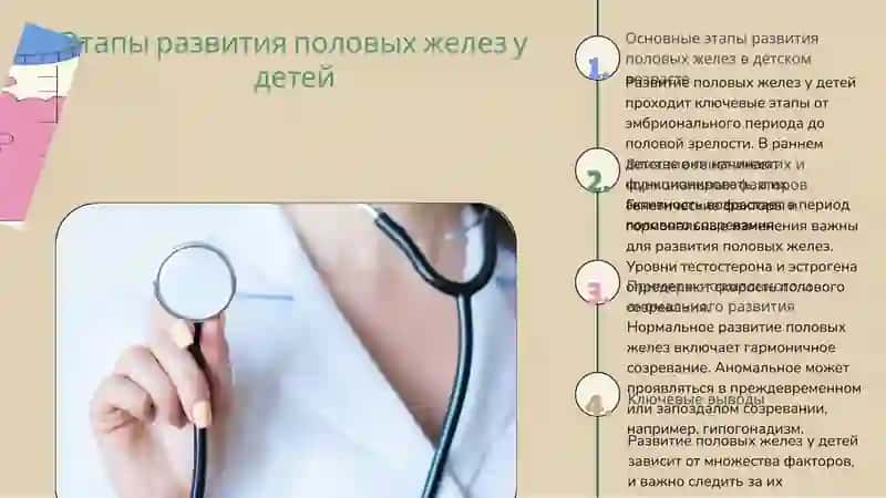 Особенности деятельности половых желез в разном возрасте 4