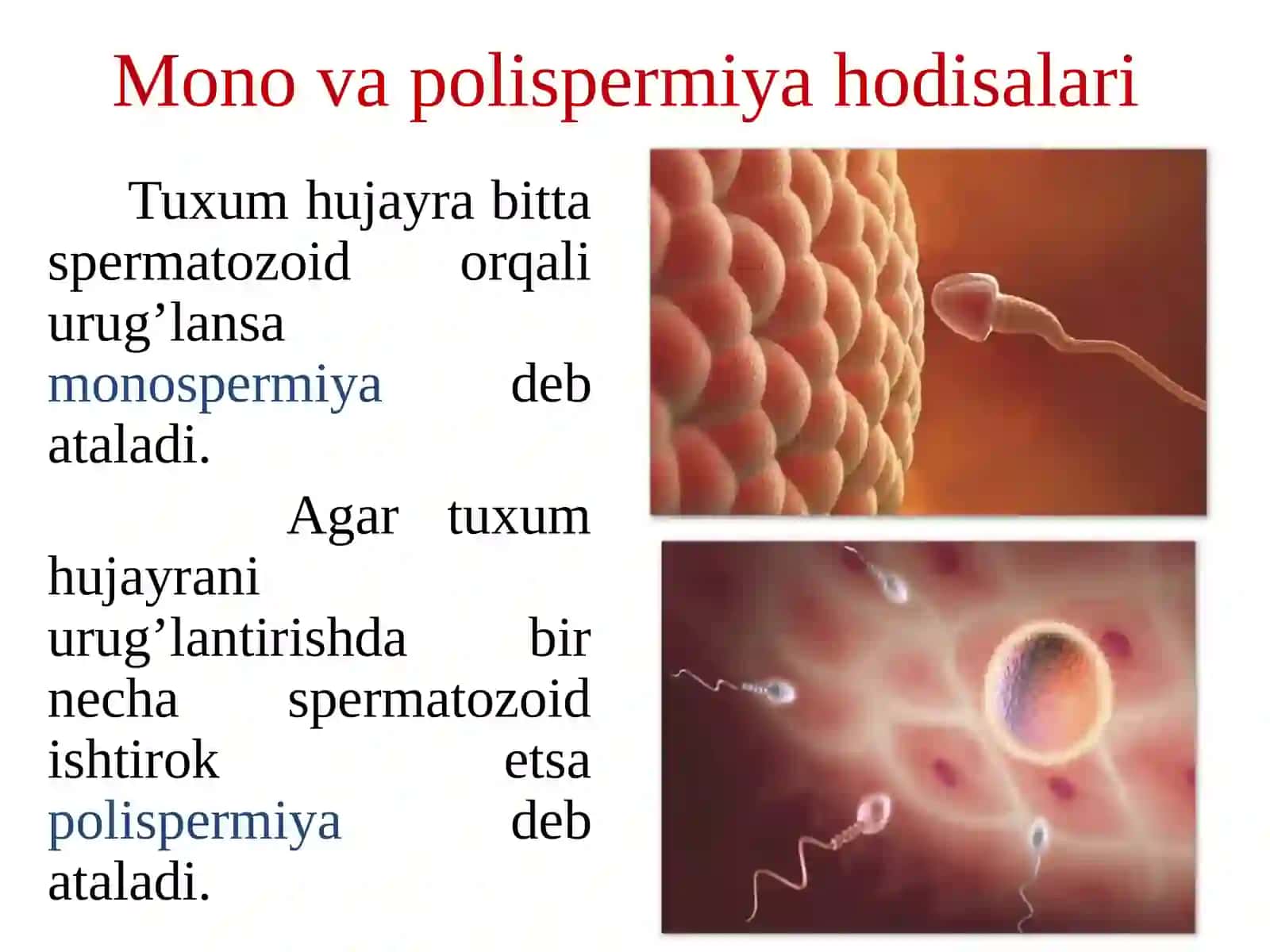 Urug’lanish va otalanish biologiyasi 4