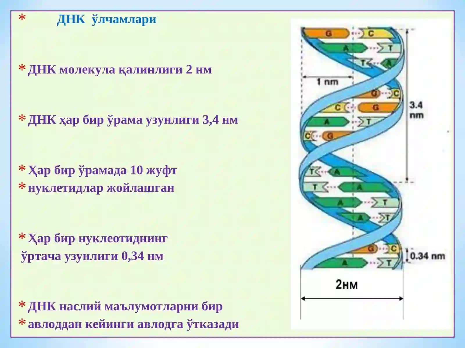 Инсон геноми 4