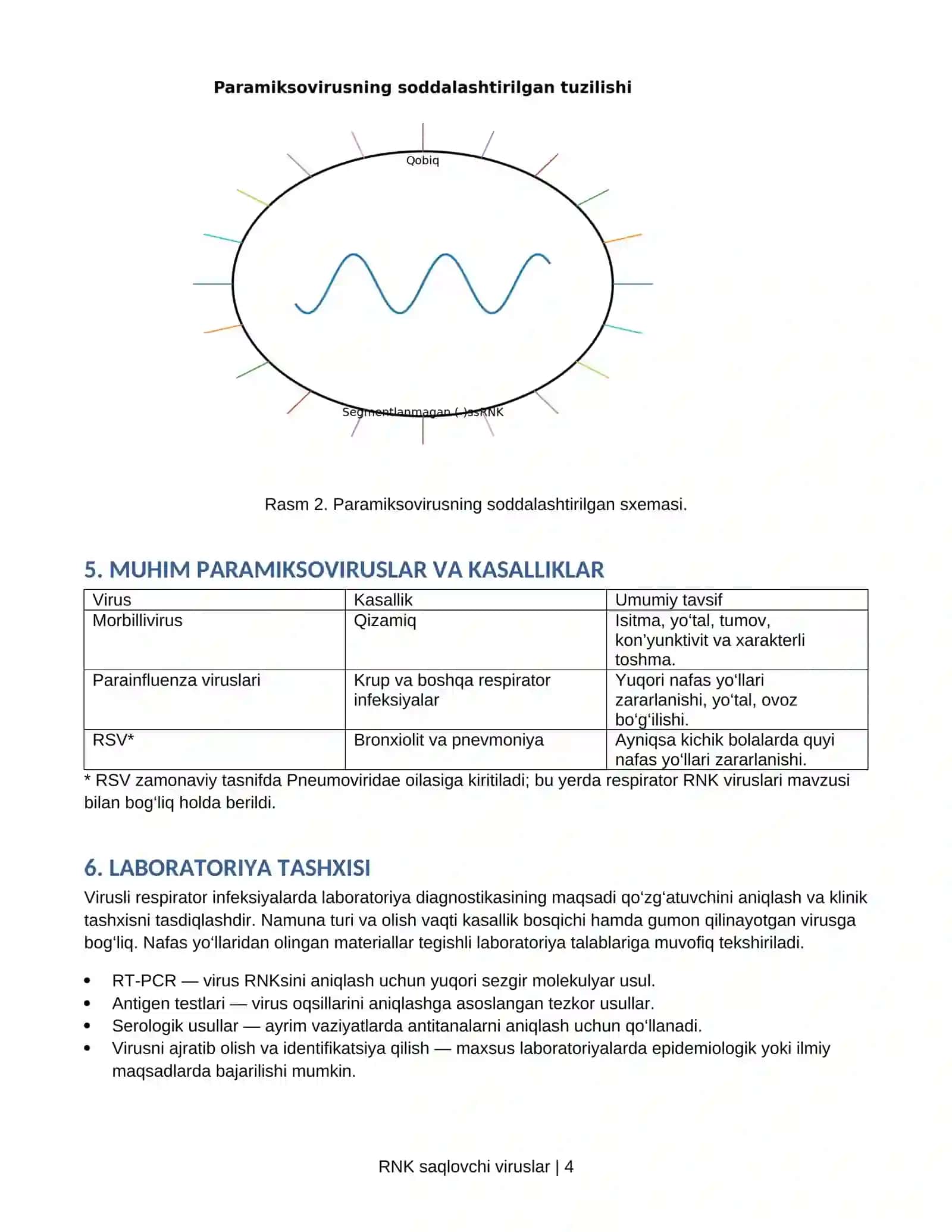 RNK saqlovchi viruslar: Ortomiksoviruslar va Paramiksoviruslar 4