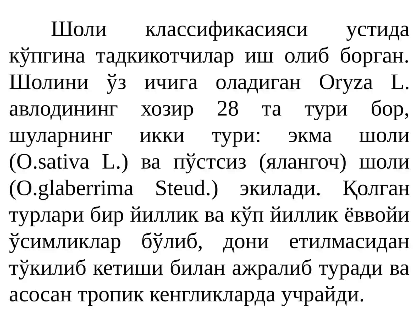 Шоли систематикаси ва морфологияси 4