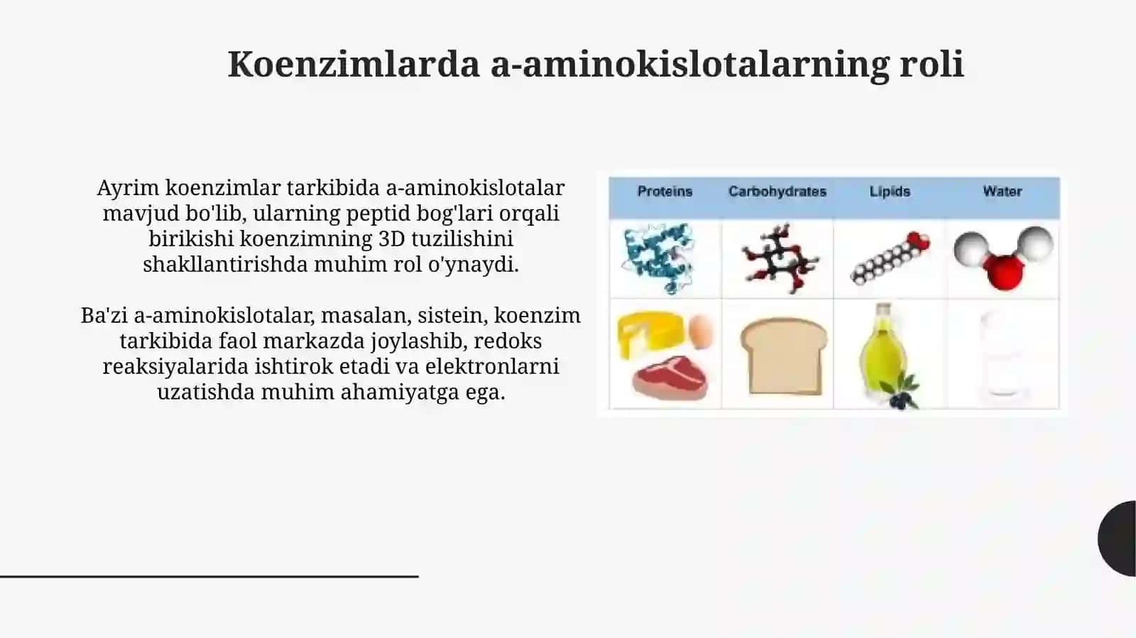 a-Aminokislotalar kofermentlar gormonlar vitaminlarning tarkibiy qismi sifatida 4