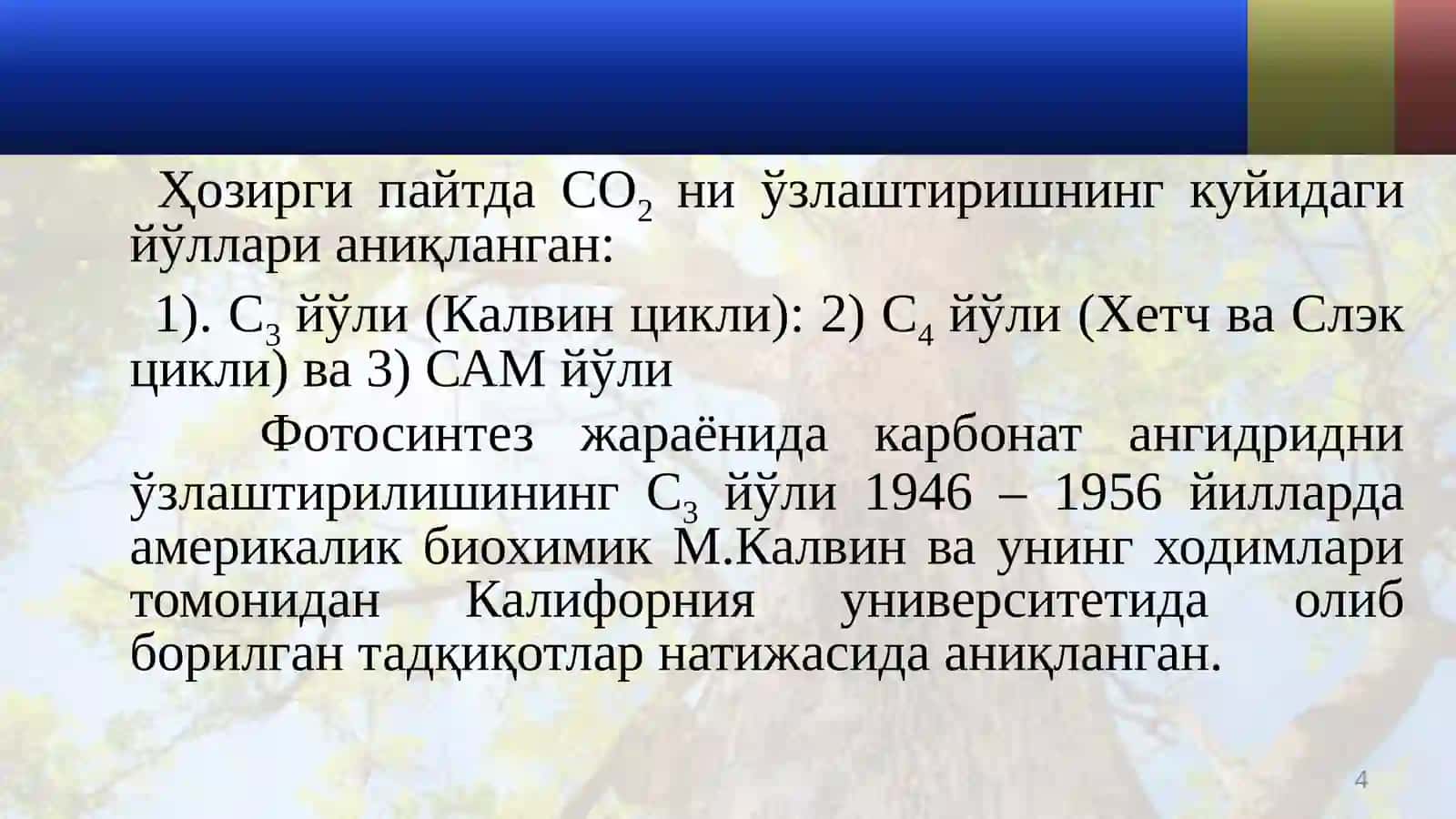 ФОТОСИНТЕЗДА УГЛЕРОД ЎЗЛАШТИРИЛИШИЙЎЛЛАРИ. УНГА ТАЬСИР ЭТУВЧИ ОМИЛЛАР 4