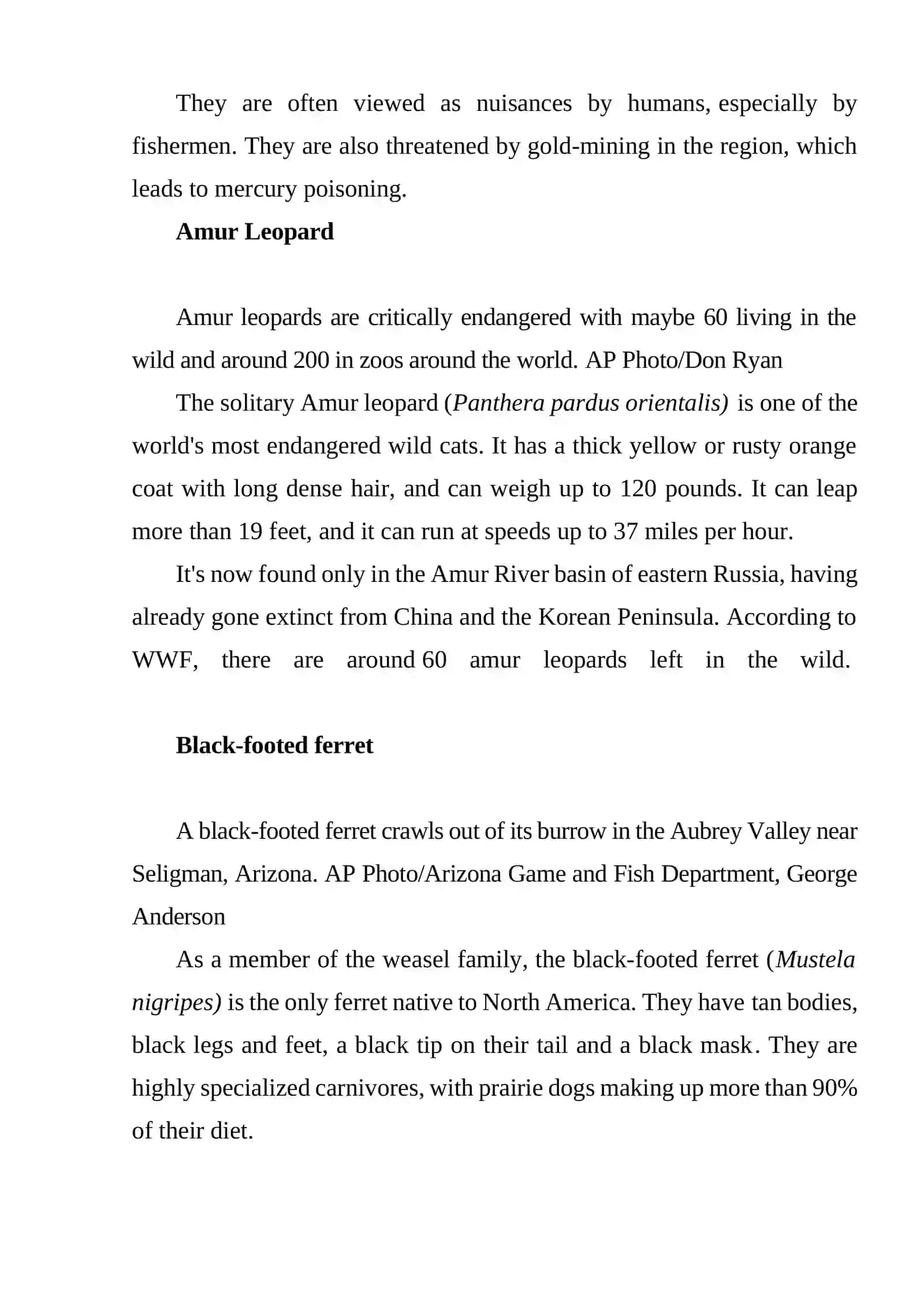ANIMALS 4