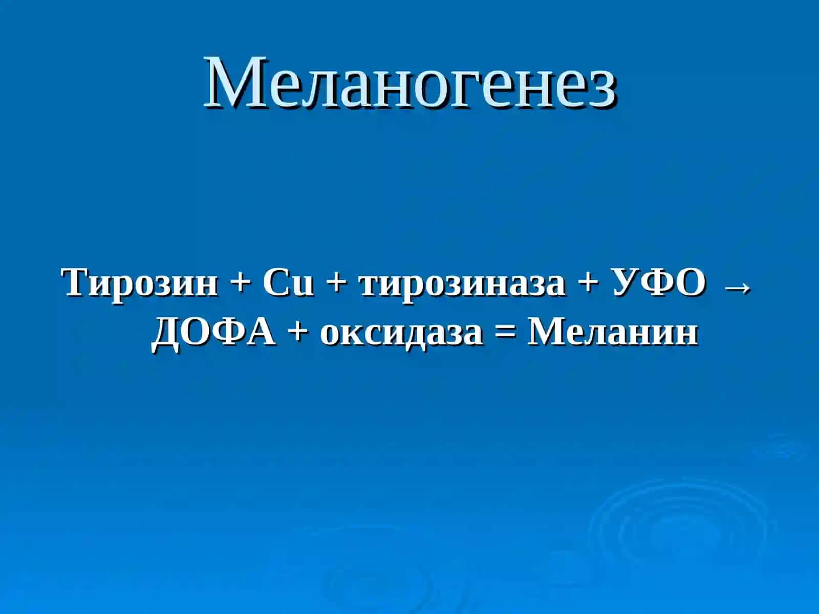 СТРОЕНИЕ КОЖИ, АНАТОМИЯ, ГИСТОЛОГИЯ И ФИЗИОЛОГИЧЕСКИЕ СВОЙСТВА КОЖИ 4