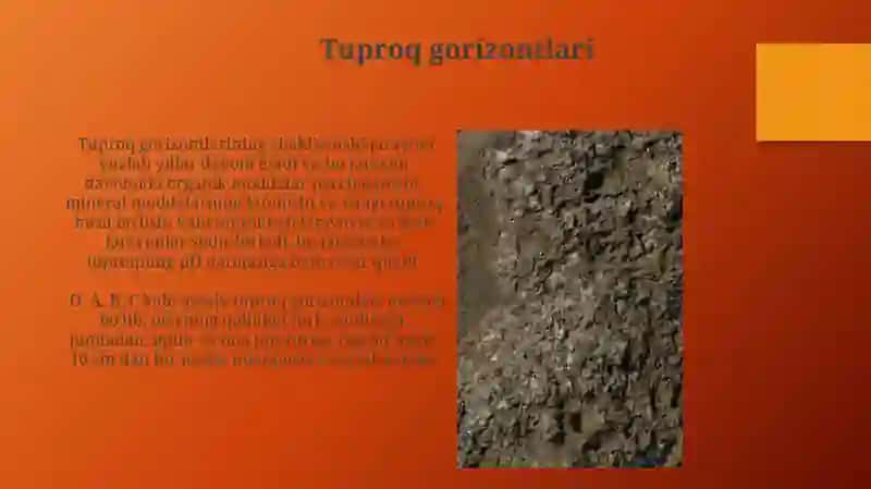 Tuproqning paydo boʻlishi 4