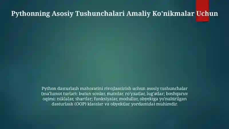 Python dasturlash tilida skill dasturlar tuzish 4