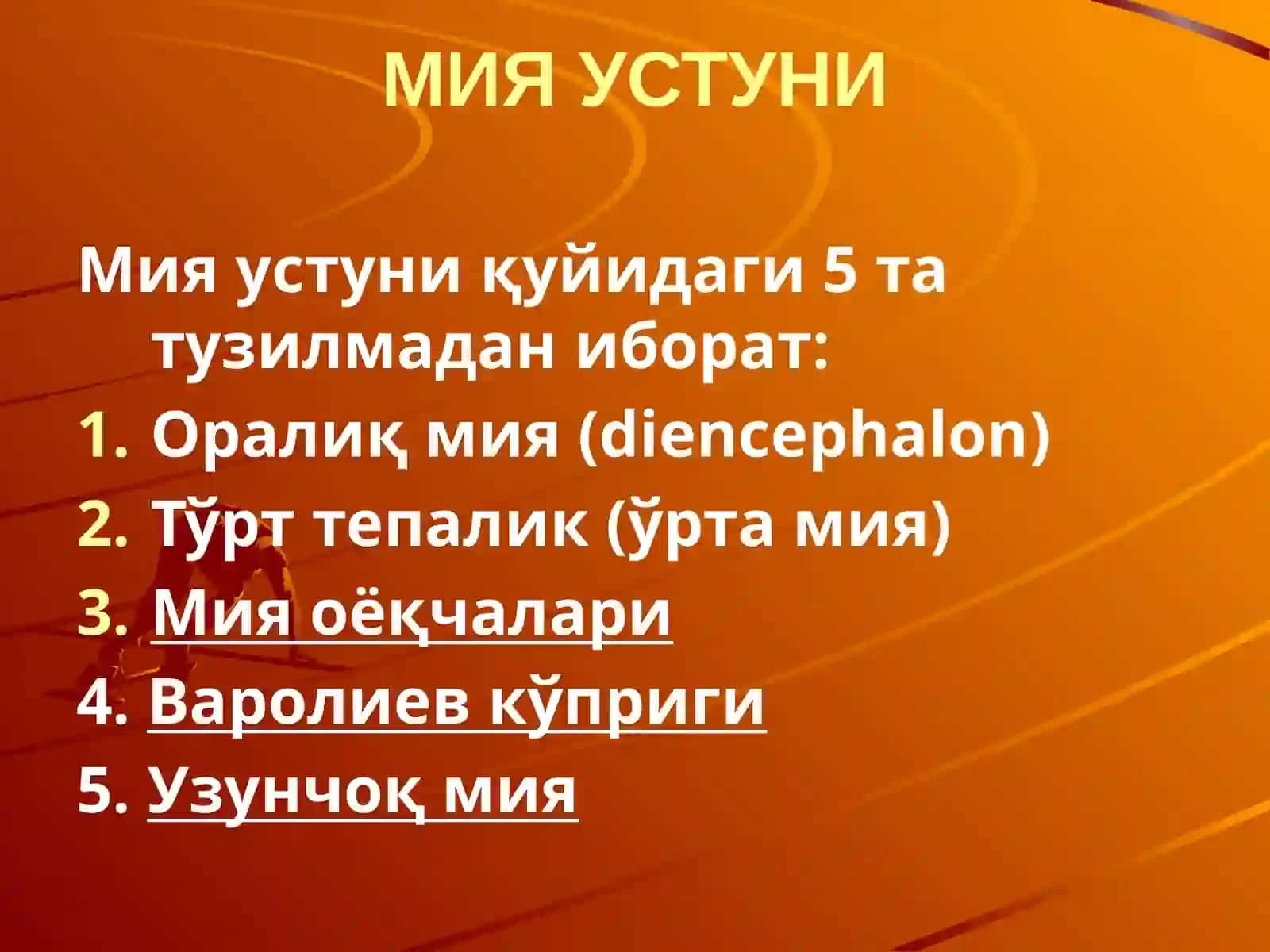 Mustaqilish mavzusi: Yonqorinchalar va boshmiya anatomiya 4