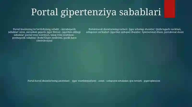 Porta Kaval Shuntlash 4