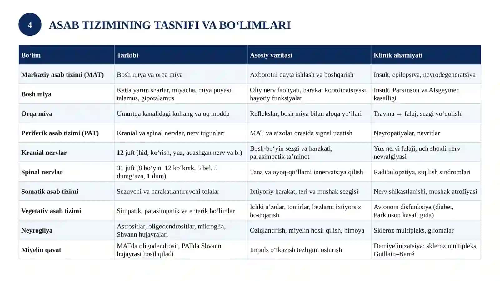 ASAB TIZIMI VA UNING INSON ORGANIZMIDAGI AHAMIYATI 4
