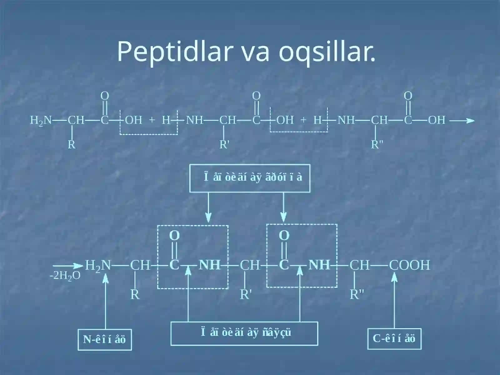Oqsillar va peptidlarning sinflanishi va biologik ahamiyatining sinflanishi va biologik ahamiyati 4