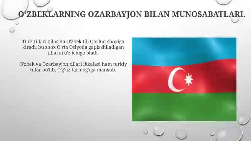 Oltoy tillar oilasi, Özbek tili va boshqa tillarning özaro munosabati 4
