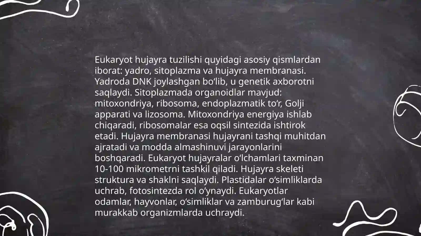 Sitologiya. Eukariot hujayralari. Organizmlarni ko'payishi. Mitoz.Meyoz 4