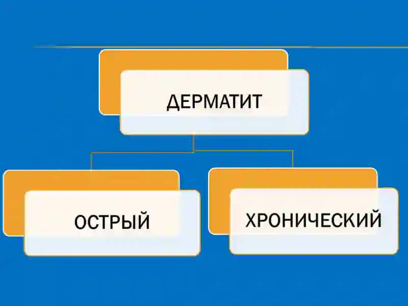 Дерматит 4