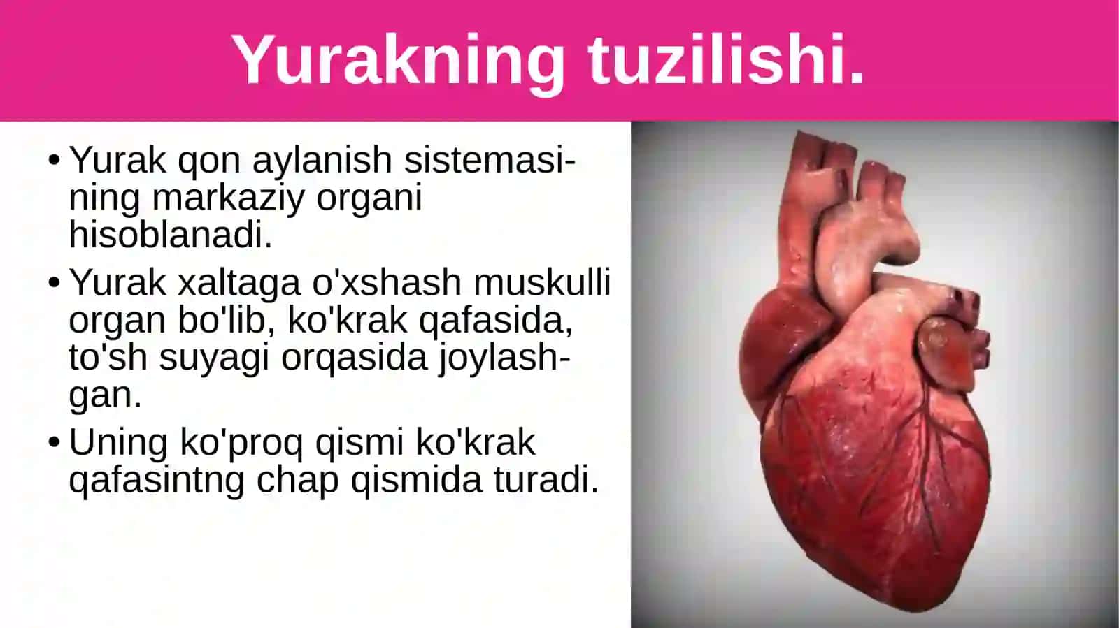Biologiya Qonaylanishiningahamiyati,yurakningtuzilishi 4