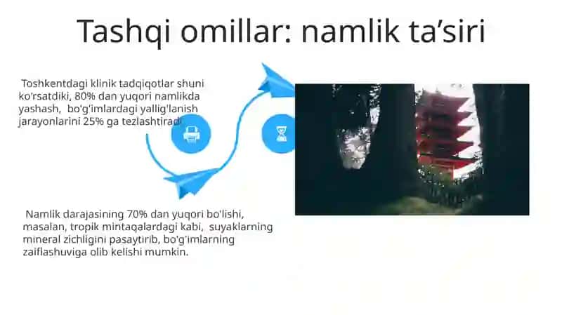 Bo'g'imlar tuzilishiga tashqi va ichki faktorlarni ta'siri 4