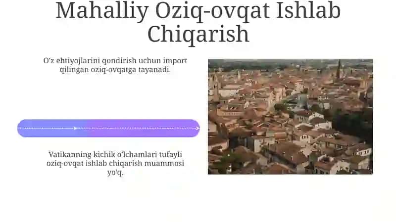 Vatikan davlatining oziq ovqat muommosi 4
