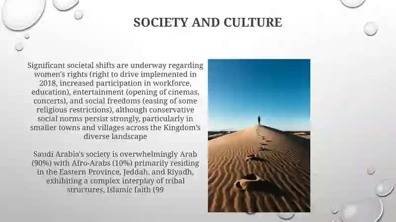 The Future of Saudi Arabia 4