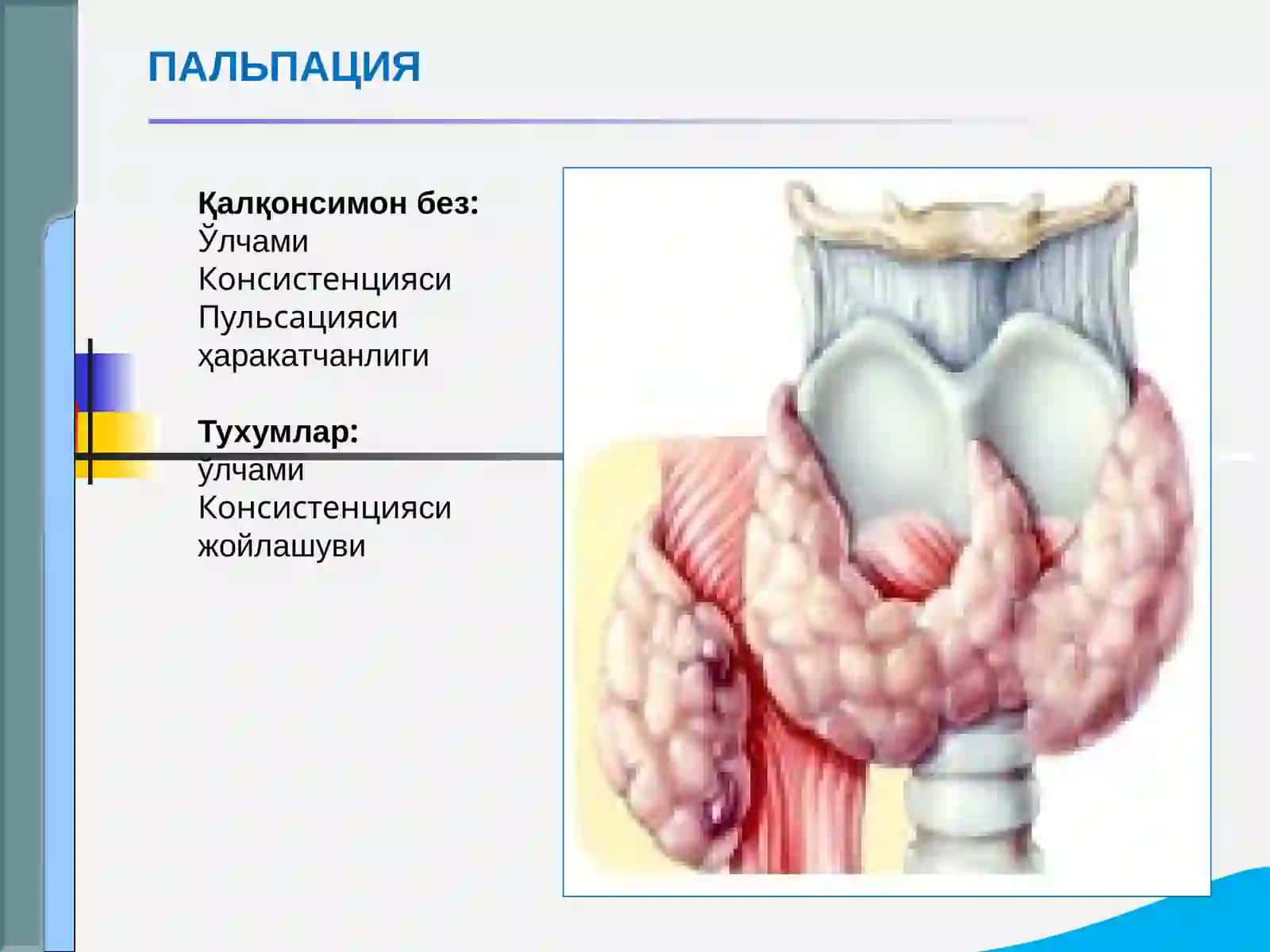 Эндокрин тизими касалликлари 4