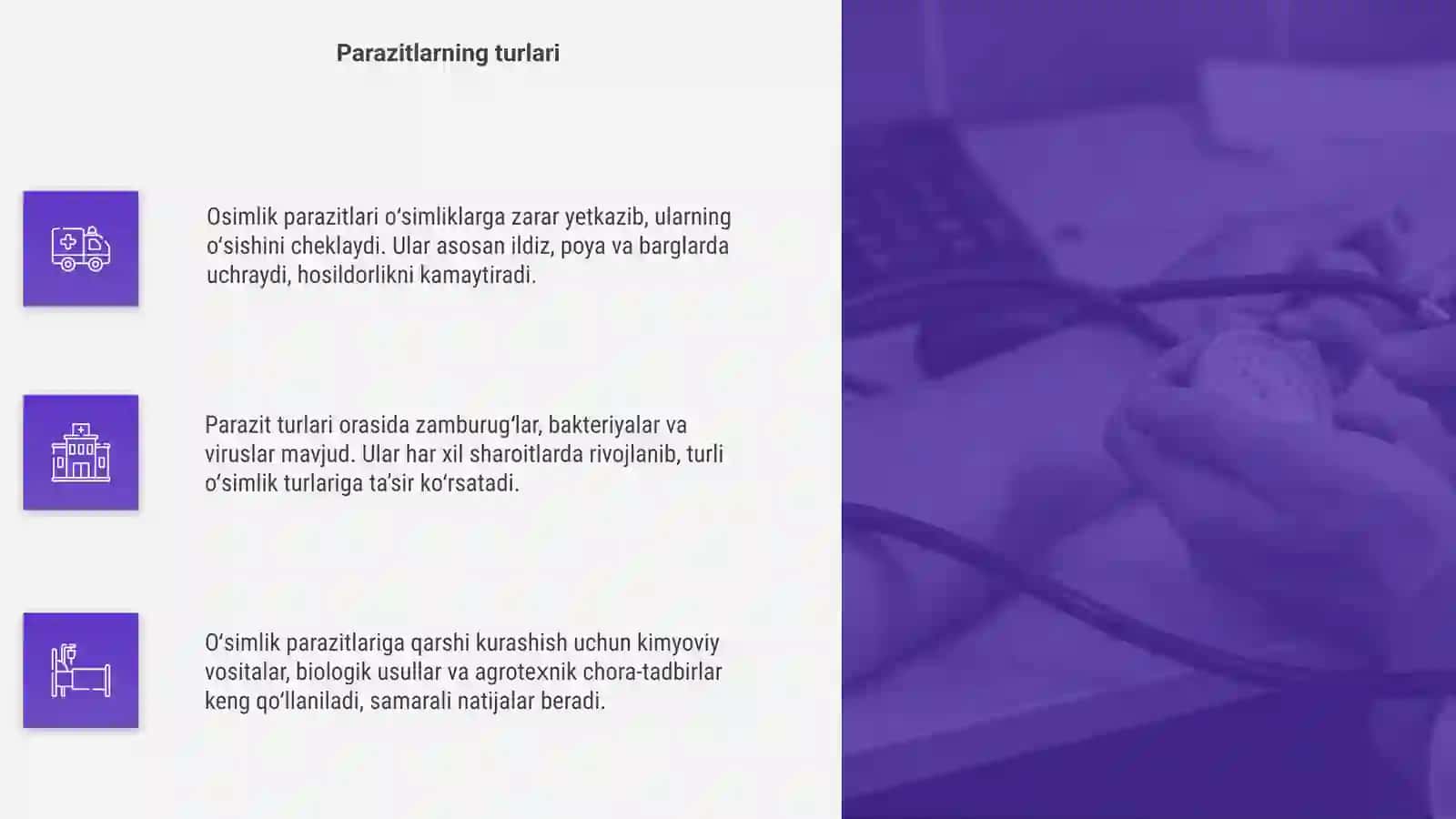 Osimlik parazitlari 4