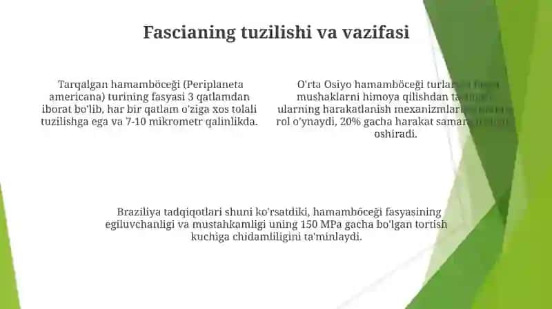 Kôkrak mushaklari va fastsyalari 4