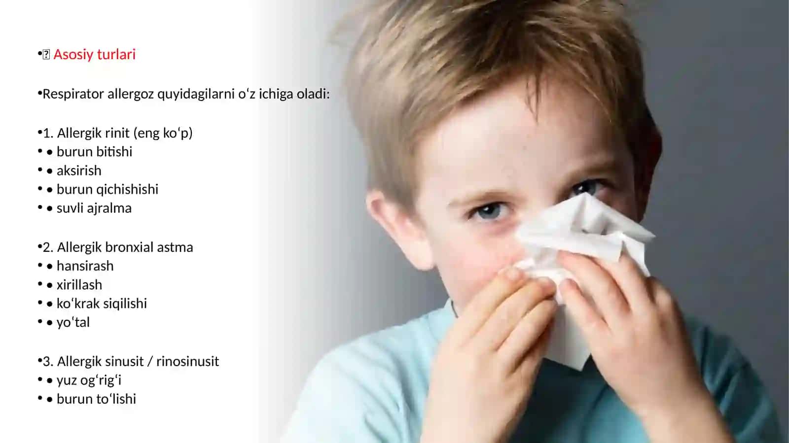 RESPIRATOR ALLERGOZ 4