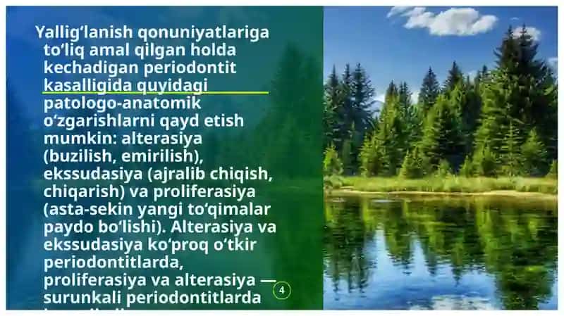 O`tkir Periodontitni patologik anatomiyasi 4
