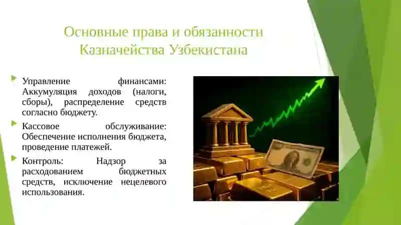 Права и обязанности органов казначейства 4