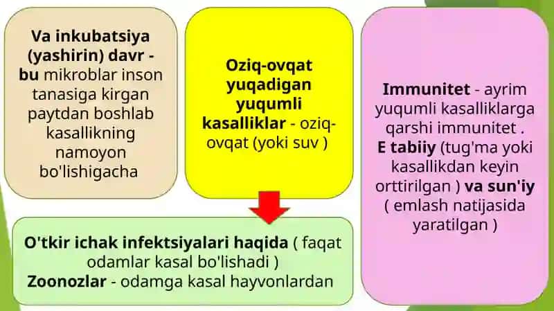 Ichakning yuqumli kasalliklari, zoonozlar, gelmintozlar va ularning oldini olish 4