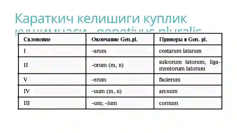 Граматика. От ва сифатларнинг куплик шакли ва караткич келишик  купликда ишлатилиши 4
