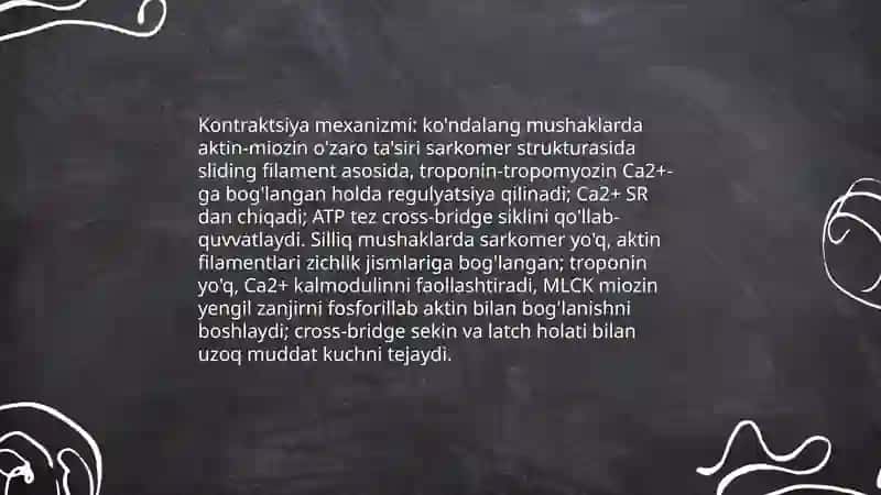 Silliq va kóndalang targ'il mushaklar fiziologik farqlari 4