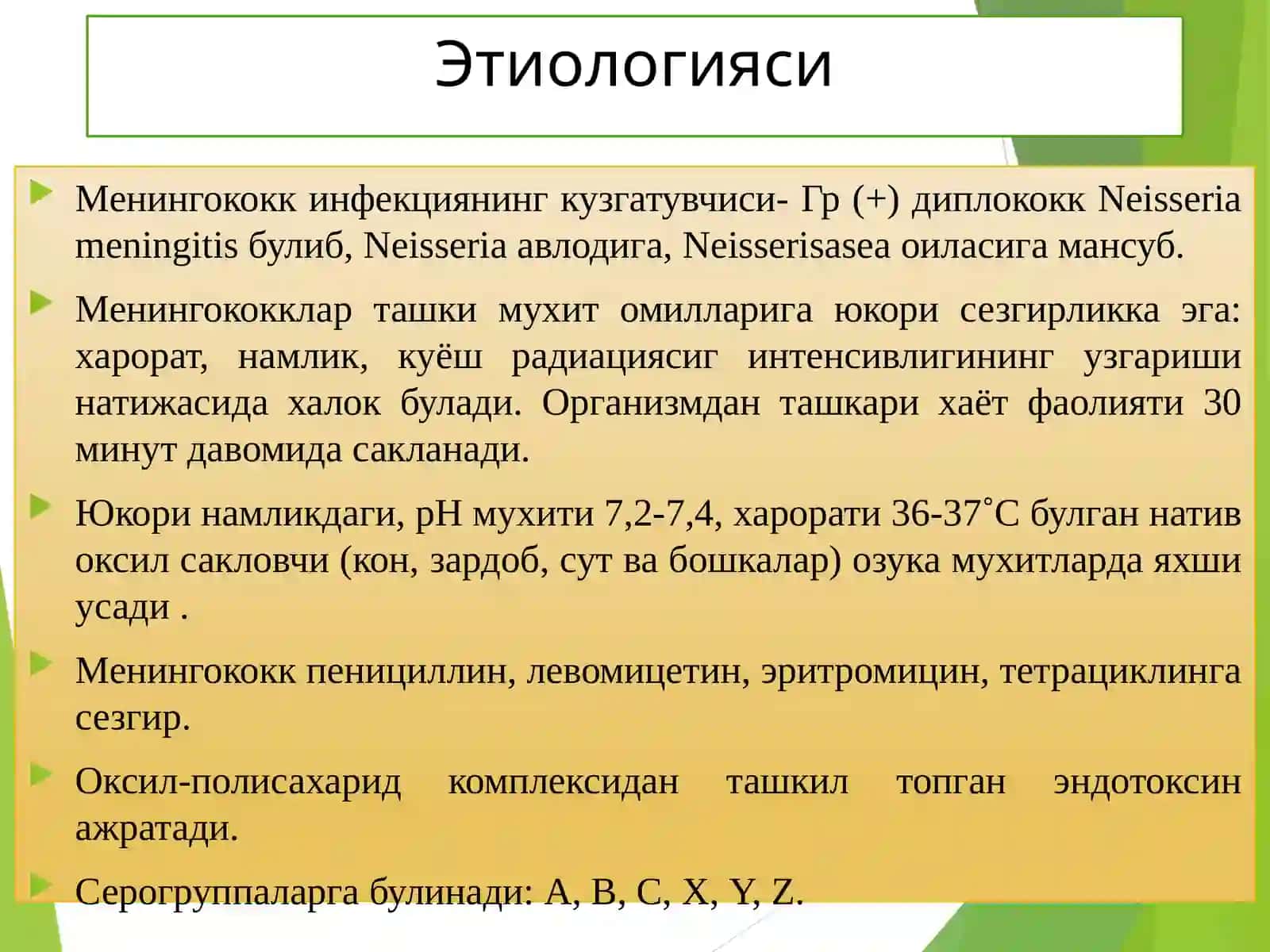 Менингококкли инфекция энцефалит ва полиомиелит патоморфологияси 4