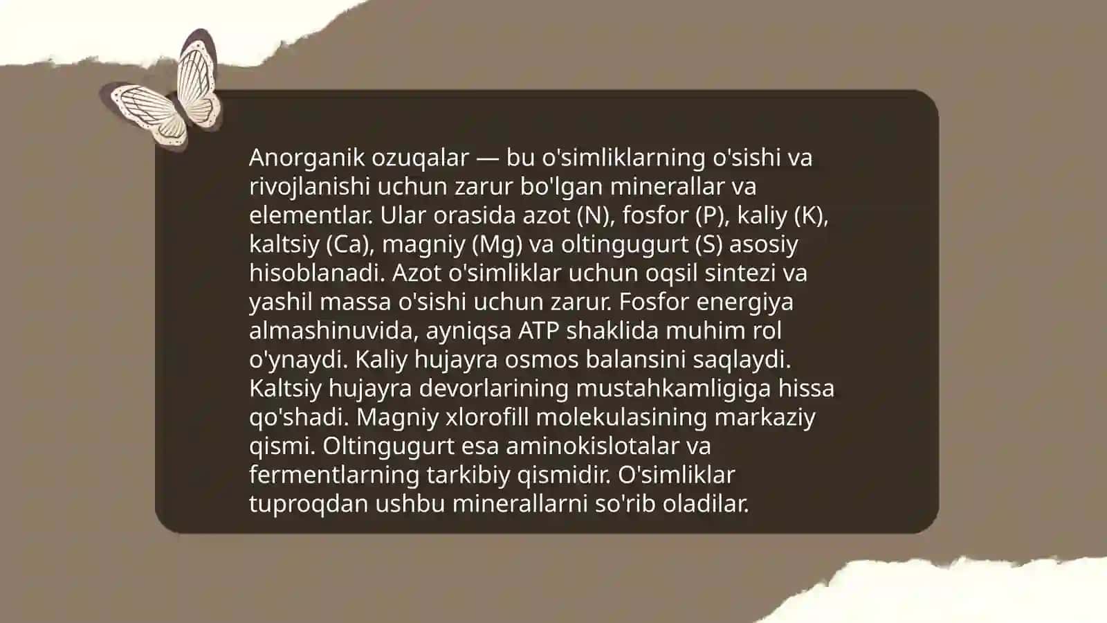 Oziq-ovqat mahsulotlarining tarixiy taraqqiyoti 4