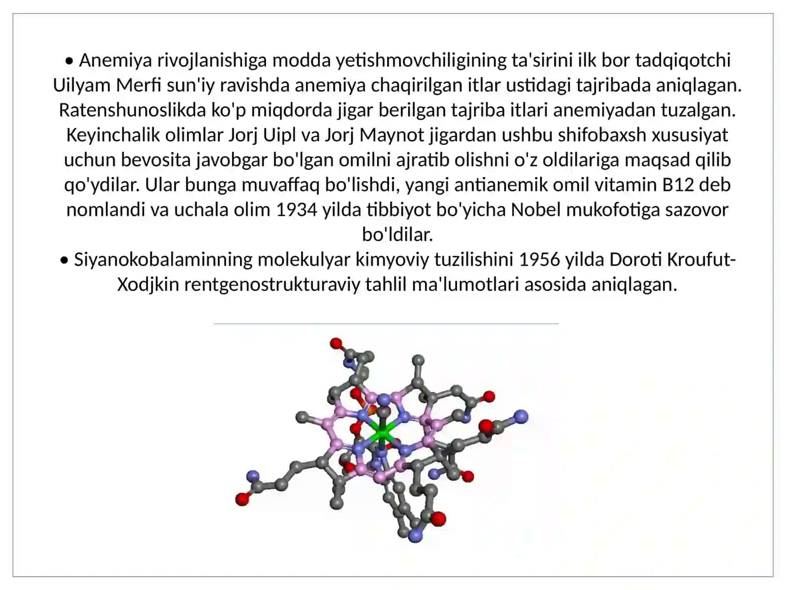 Biologiya - Vitamin B12 4