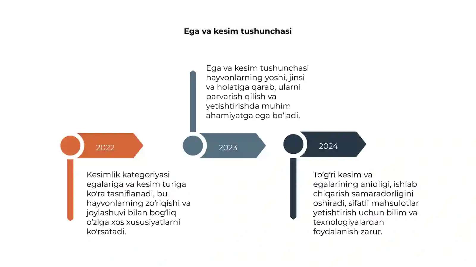 Kesimlik kategoriyasi 4