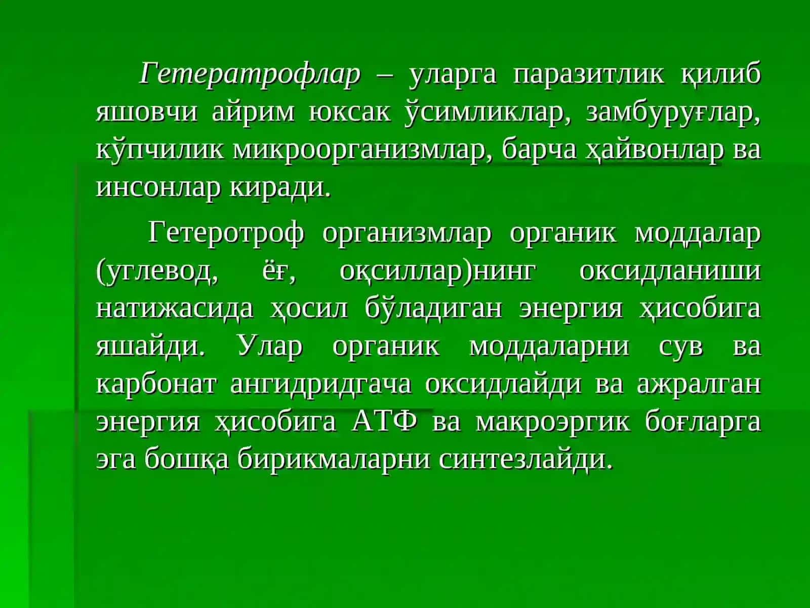ФОТОСИНТЕЗ 4