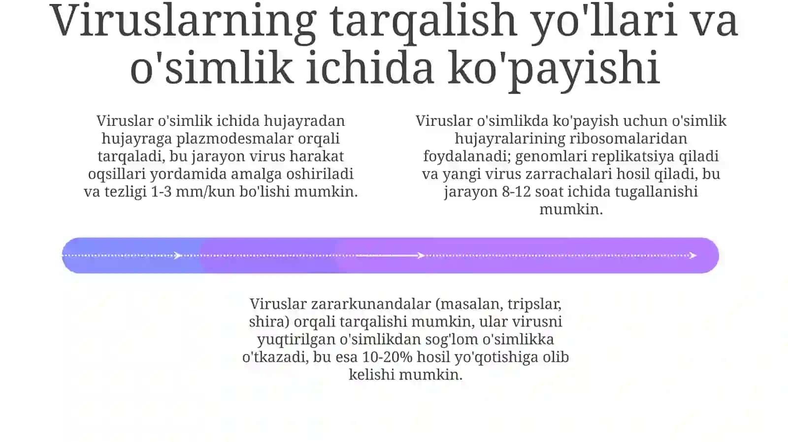Fitopatogenviruslaringo'simlikdakeltiribchiqaradigankasallikalomatlarinio'rganish 4