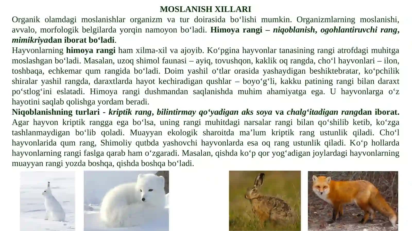 Moslanishlar – tabiiy tanlanish natijasi 4