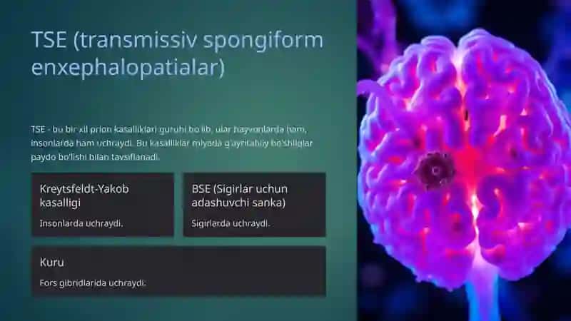 Prion kasalliklari 4