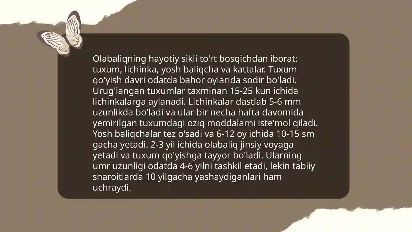 Ózbekiston suv havzalarida tarqalgan olabaliq turlari 4