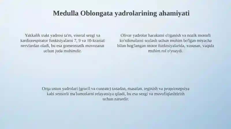 Umurtqa pog'onasi ildizlari: Anatomiyasi va shakllanishi 4