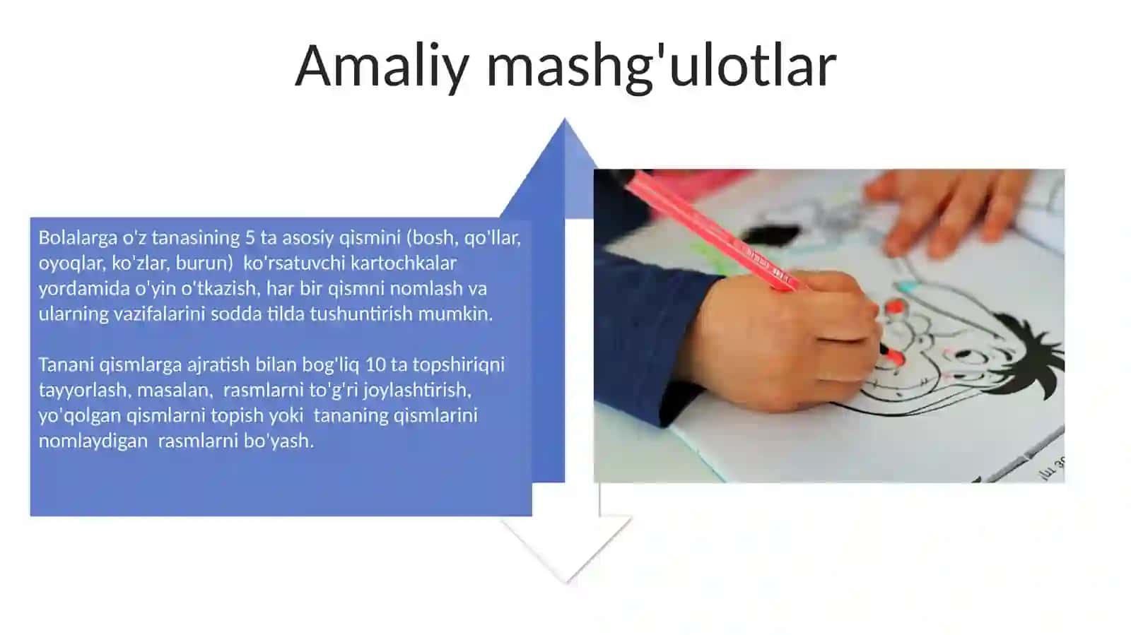 Maktabgacha ta'lim bolalarni tana a’zolari bilan tanishtirish 4