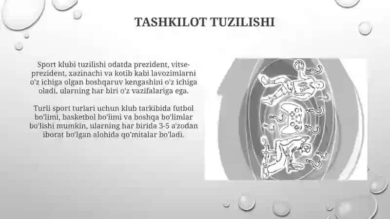 Sport klublarini tashkil etish va boshqarish asoslari 4
