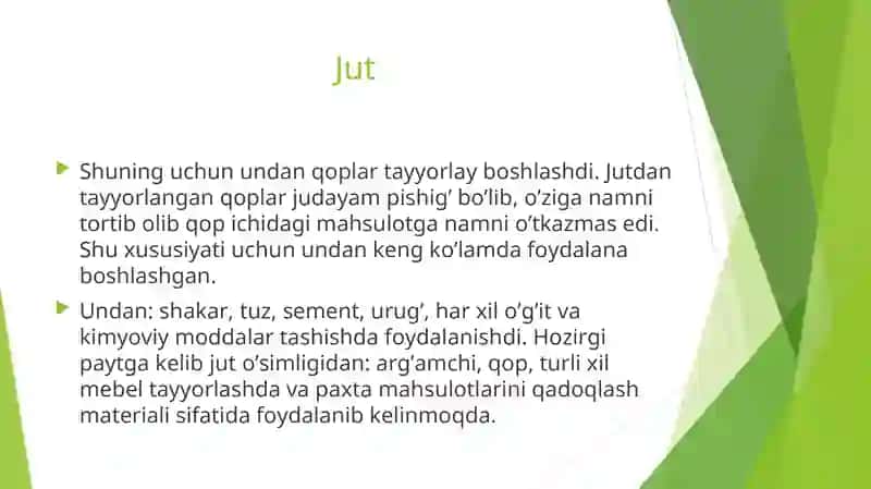 Jut o’simligining kelib chiqishi va ahamiyati 4