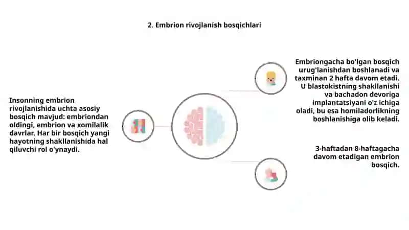 Odamlar embriologiyasi asoslari 4