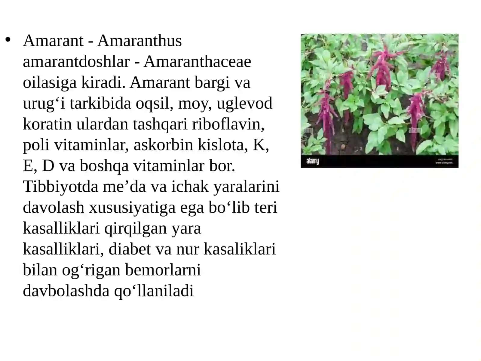 GULTOJIXO’ROZDOSHLAR (AMARANTHACEAE), SHO’RADOSHLAR (CHENOPODIACEAE) TURKUMI TURLARI NOMENKLATURASINI TAHLILI VA O’RGANISH QOIDALARI 4